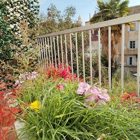 Apartment Sunny Terrace